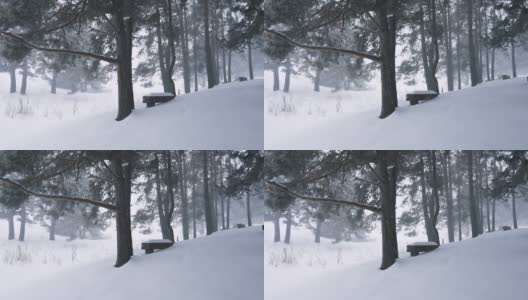 圣诞节期间森林里冬天会下雪高清在线视频素材下载