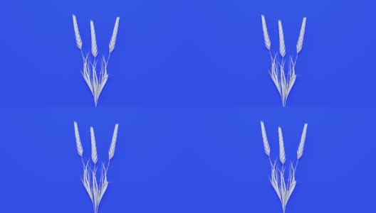 白色草/花抽象3d渲染运动蓝色背景平坦lay场景高清在线视频素材下载