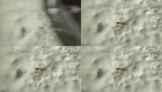 在面包切片微距镜头上涂黄油高清在线视频素材下载