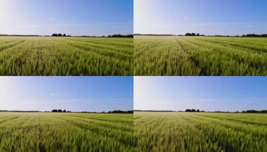 日落时的大麦谷地高清在线视频素材下载