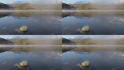 埃希提克尔高原上的阿尔泰湖。北丘伊斯基山脊倒映在水面上高清在线视频素材下载