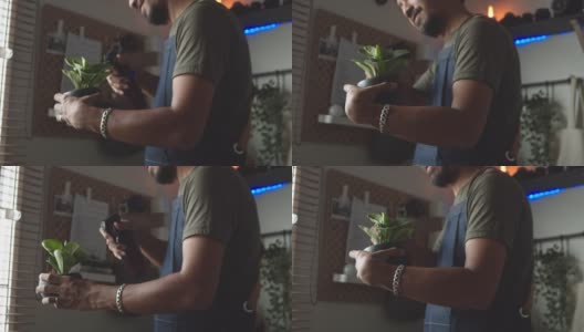 时髦的亚洲男人在家给室内植物浇水高清在线视频素材下载