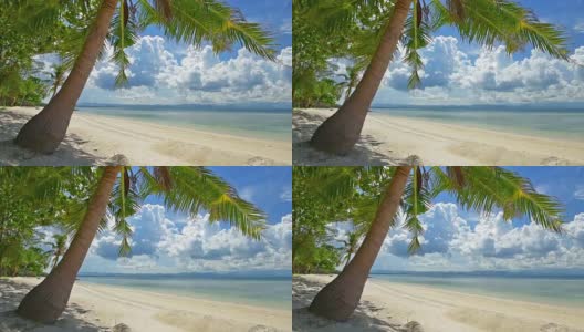 coconut leaf moving by wind with blue sky cloudy,beach scenic高清在线视频素材下载