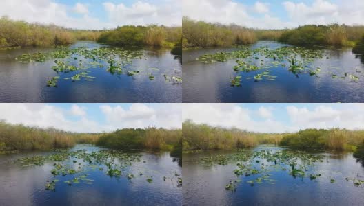 大沼泽国家公园的沼泽高清在线视频素材下载
