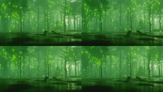 沼泽般的夜森林里闪烁着神秘的萤火虫高清在线视频素材下载