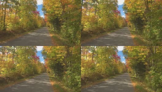 慢镜头POV:在阳光明媚的秋日，驾车穿过美丽多彩的森林高清在线视频素材下载