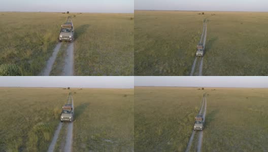 空中跟踪拍摄的狩猎车辆通过博茨瓦纳的草原高清在线视频素材下载