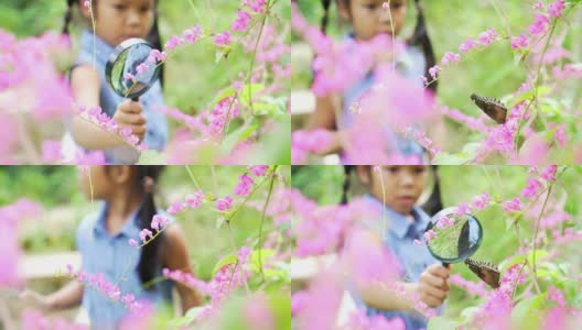 一个女孩用放大镜看树枝上的蝴蝶高清在线视频素材下载