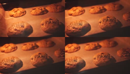 美国巧克力碎饼干在烤箱里烤成褐色高清在线视频素材下载