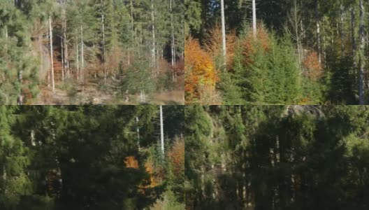 从路过的火车窗口看到的秋景。秋天的十月，树上五颜六色的叶子。巴伐利亚景观高清在线视频素材下载