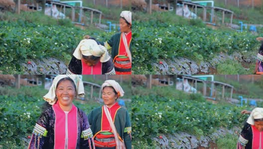 拉祜族妇女高清在线视频素材下载