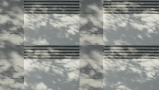 树的影子高清在线视频素材下载
