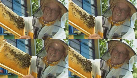 HD超级慢动作:蜂巢的养蜂人高清在线视频素材下载