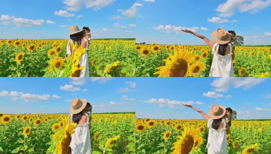 欢快的太阳花朵高清在线视频素材下载