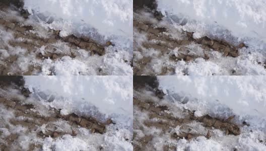 麻雀，冬熊和麻雀在冬天的雪地里寻找食物，高清在线视频素材下载