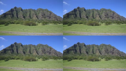 Kualoa牧场高清在线视频素材下载