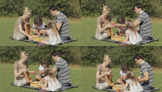 家庭野餐高清在线视频素材下载