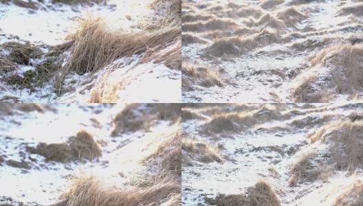 晒干的草地和夏天的雪堆，太阳光线慢镜头120帧/秒高清在线视频素材下载