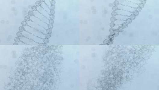 一个旋转丛DNA链的组装和散射-浅蓝色版本高清在线视频素材下载