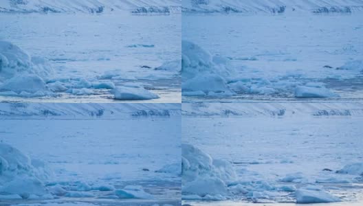 河冰。在霍恩松德峡湾附近。高清在线视频素材下载