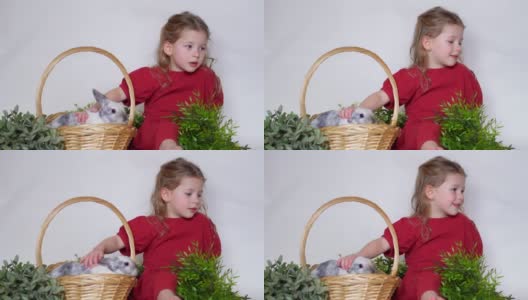 女孩和兔子在草篮子里。复活节游戏儿童和宠物。动物在家里。高清在线视频素材下载