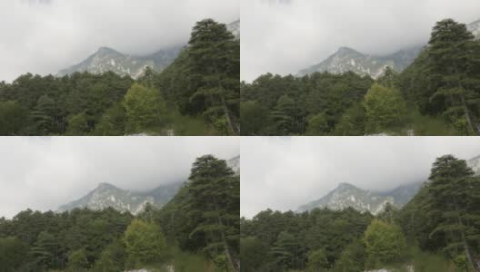 迷雾笼罩着奥林匹斯山脉和常绿森林的4K倾斜视频高清在线视频素材下载