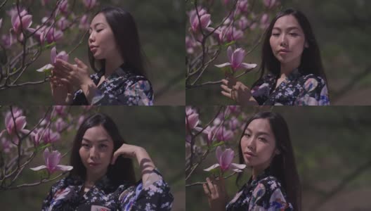 年轻美丽的亚洲女子欣赏着树枝上粉红色的樱花，看着镜头抚摸着脸。自信迷人的美女肖像穿着和服在阳光下摆姿势户外。高清在线视频素材下载