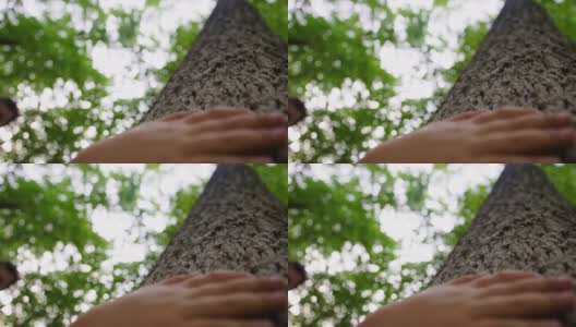 孩子的手摸到了森林里的一根树干高清在线视频素材下载