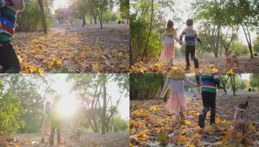 哥哥和妹妹带着狗在黄叶中慢镜头奔跑，一对夫妇在秋天公园的背光中手牵着手高清在线视频素材下载