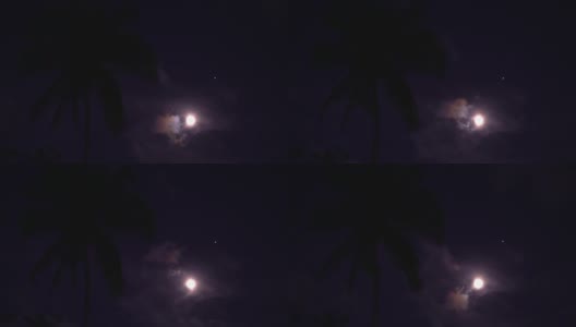 一轮明月藏在浓浓的云后。夜空中有棕榈树高清在线视频素材下载