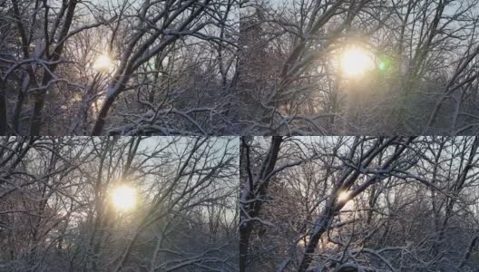 冬光散射，冬liche Lichtstreuung高清在线视频素材下载