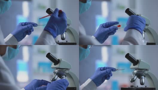 科学家准备血液样本并放在显微镜玻璃下，生物学高清在线视频素材下载