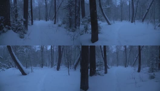 雪夜的森林里有一场暴风雪。高清在线视频素材下载