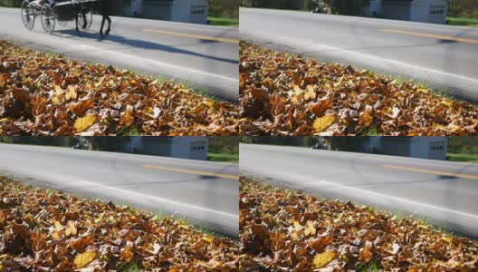 秋天，阿米什人的马车在宾夕法尼亚州的路上行驶高清在线视频素材下载