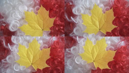 枫叶是加拿大的象征高清在线视频素材下载