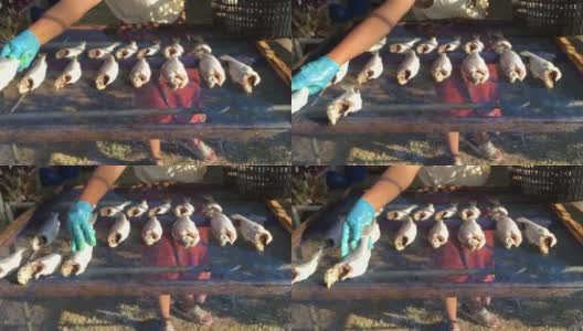 自制的鱼放在渔筐上，网格状晒干高清在线视频素材下载