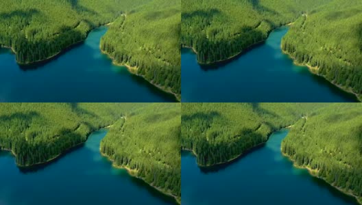 绿松石水在山上森林湖泊与松树。蓝色的湖泊和绿色的森林鸟瞰图。观湖间山林。越过晶莹剔透的高山湖水。淡水高清在线视频素材下载