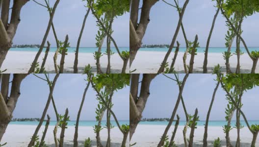 热带天堂。马尔代夫海岸的白沙。高清在线视频素材下载