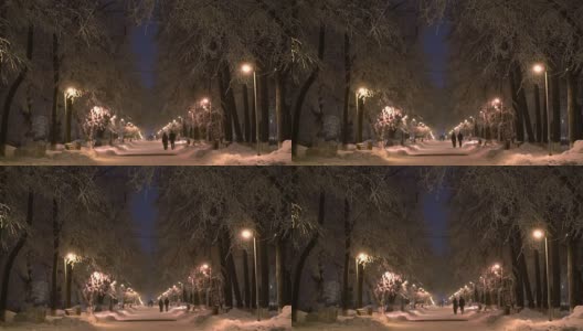 情侣们在城市公园的冬季夜晚散步高清在线视频素材下载