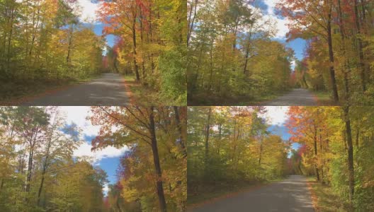 POV驾车穿过令人惊叹的秋季森林，仰望五颜六色的树冠高清在线视频素材下载