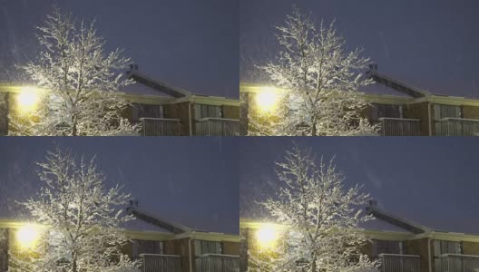 夜飘花灯街，在冬天的夜晚，花灯亮着，雪落了高清在线视频素材下载