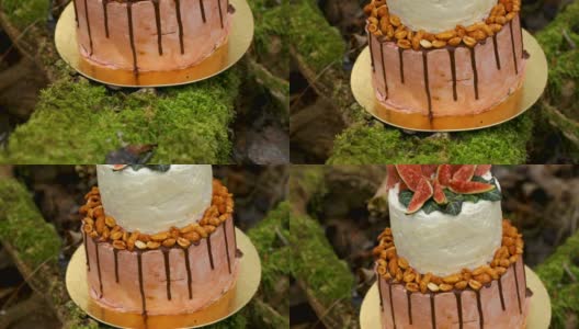 婚礼蛋糕上有两层，浅奶油和新鲜水果，在仪式前装饰好，放在森林中央的树干上，树干上覆盖着一层黑色的苔藓高清在线视频素材下载