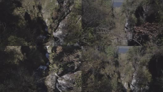 阿尔泰自然保护区鸟瞰图高清在线视频素材下载