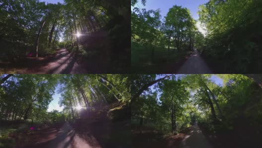 在柏油路上骑自行车在森林在晴天广角POV高清在线视频素材下载