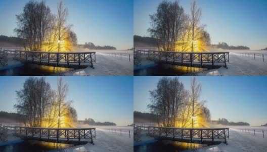 阳光透过白雪覆盖的树枝高清在线视频素材下载