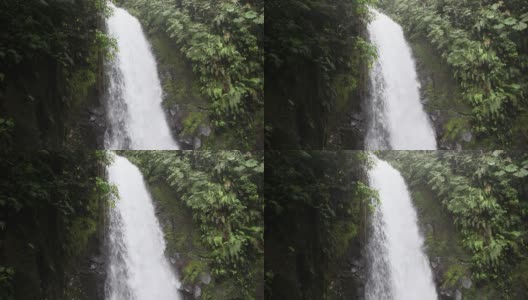 哥斯达黎加丛林里的大瀑布高清在线视频素材下载