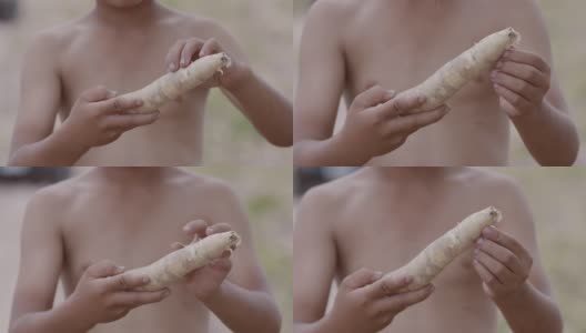 园丁男孩在田里分析他手上的木薯。高清在线视频素材下载