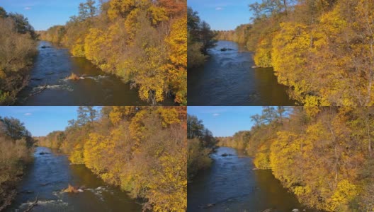 秋天的河流在美丽的黄树之间。在秋日的阳光下，湛蓝的小河在两岸金色的树木间流淌。高清在线视频素材下载