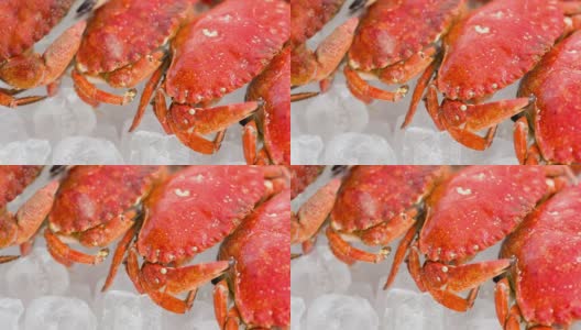 煮熟的螃蟹高清在线视频素材下载