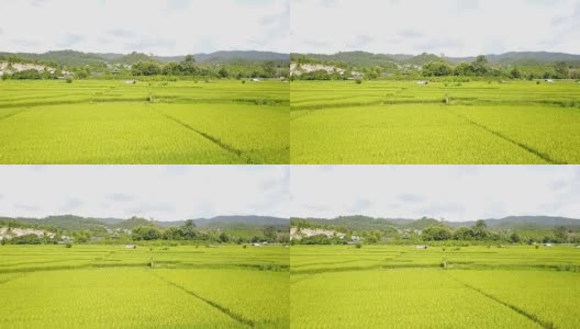 俯视图艺术乡村景观。稻田和山地高清在线视频素材下载